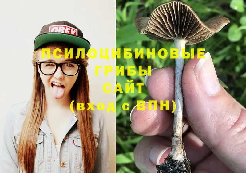 Псилоцибиновые грибы Cubensis  гидра ONION  Жуков 